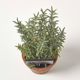 Homescapes Artificial Green Handcrafted Thyme Plant In Decorative Pot, 16 X 14 Cm - thumbnail 2