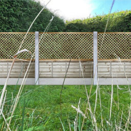 Premier Garden Supplies Elite Diamond Wooden Trellis Panel 6Ft X 3Ft (3 Pack) Standard Lattice Fencing Topper For Climbing Plant Support - thumbnail 5