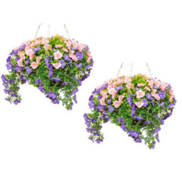Primrose Pair Of Large Artificial Petunia Flowers Rattan Hanging Basket Decoration  Purple & Pink 30Cm