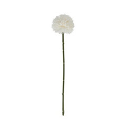 Wyld Haus Set Of 3 White Short Artificial Chrysanthemum Stems, 290mm Plastic Faux Flowers - thumbnail 1
