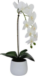 Greenbrokers Elegant Large Single Stem White Real Touch Artificial Potted Orchid (65Cm) In Round White Ceramic Pot - thumbnail 1