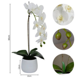Greenbrokers Elegant Large Single Stem White Real Touch Artificial Potted Orchid (65Cm) In Round White Ceramic Pot - thumbnail 4