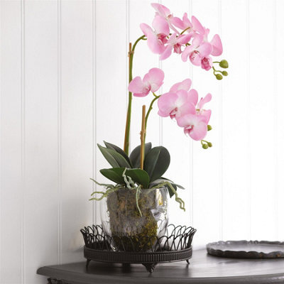 Bloom Artificial Pink Double Phalaenopsis Plant In Vase - Faux Fake Orchid Houseplant Floral Home Decoration - H60Cm X W30Cm