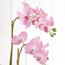 Bloom Artificial Pink Double Phalaenopsis Plant In Vase - Faux Fake Orchid Houseplant Floral Home Decoration - H60Cm X W30Cm - thumbnail 2
