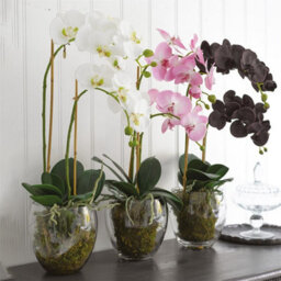 Bloom Artificial Pink Double Phalaenopsis Plant In Vase - Faux Fake Orchid Houseplant Floral Home Decoration - H60Cm X W30Cm - thumbnail 3