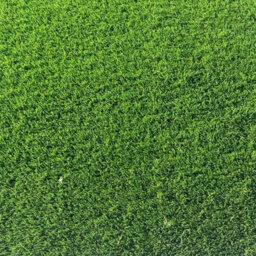 "Premership 40mm Artificial Grass, Premium Outdoor Artificial Grass, Pet-Friendly Fake Grass-3M(9'9"") X 4M(13'1"")-12M²" - thumbnail 7