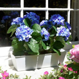 Greenbrokers Artificial Blue Hydrangea Flower Bush In White Tin Window Box (45Cm) With Nine Flower Clusters - thumbnail 5