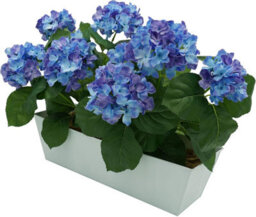 Greenbrokers Artificial Blue Hydrangea Flower Bush In White Tin Window Box (45Cm) With Nine Flower Clusters - thumbnail 6
