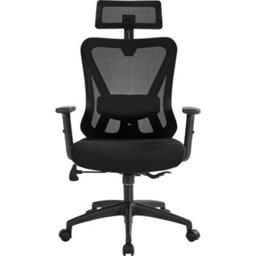 Yaheetech Ergonomic Desk Chair Multi-Adjustment Functions - Black