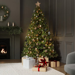 Charles Bentley Luxury 6Ft Pre-Lit Faux Nordic Spruce Hinged Christmas Tree - thumbnail 1
