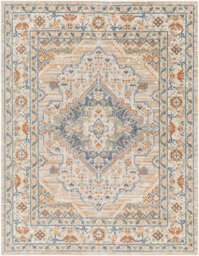 Livabliss Lillian-Washable Brown Blue Traditional Vintage Boho Living Dining Rug 160 X 213 Cm Easy Care, Non Shedding - thumbnail 1