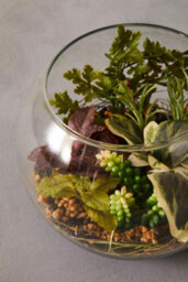 Orsina Fiori Large Glass Pot Mixed Succulent Artificial Plant Foliage - thumbnail 6