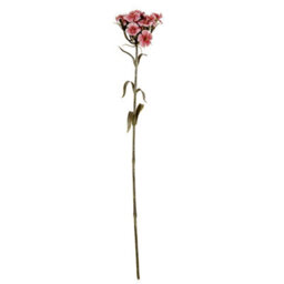 Wyld Haus Set Of 3 Pink Artificial Dianthus Sprays, 550mm Faux Flower Stems - thumbnail 1