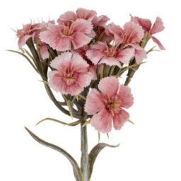 Wyld Haus Set Of 3 Pink Artificial Dianthus Sprays, 550mm Faux Flower Stems - thumbnail 2
