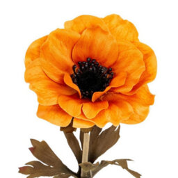 Hill Interiors Orange Anemone Stem Artificial Flower - Plastic - L10 X W10 X H38 Cm - Orange - thumbnail 2