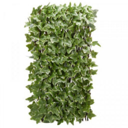 Smart Garden Marco Paul Artificial Flower Wall Trellis - Ivy Leaf 180Cm X 90Cm - thumbnail 6
