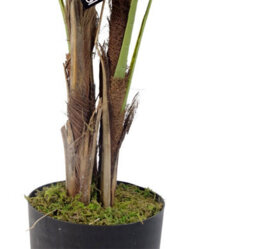 120Cm Leaf Large Artificial Palm Tree - Natural - thumbnail 2