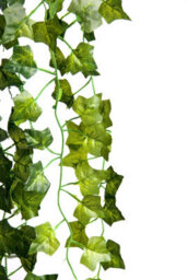 Best Artificial 100Cm English Trailing Ivy Garland Strings Strands Twines Decoration - Ti02 - thumbnail 2
