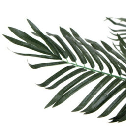 Oypla Artificial Palm Tree Plant 100Cm Indoor Outdoor Decoration - thumbnail 7