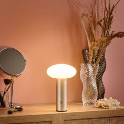 Wyld And Coco Novalux Gold Wireless Led Mushroom Table Lamp, Dimmable Touch-Control, Battery-Powered, 15Cm X 25Cm - thumbnail 2