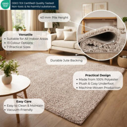 Ainsley Plain Living Room Shaggy Area Rug Modern Soft Pile Polyester Rug Light Beige 160 X 230 Cm (Rectangular) - thumbnail 3