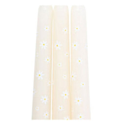 Something Different Carrot Patch Daisy Taper Candle (Pack Of 3) White/yellow (One Size) - thumbnail 2