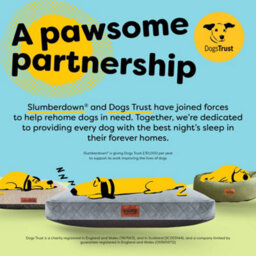 Slumberdown Paws For Slumber Donut Pet Bed, Navy, Extra Large, 85Cm Diameter - thumbnail 2