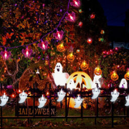 3-Pack 29.4Ft Halloween String Lights, 60 Led Orange Pumpkin Purple Bat Spider, Battery Powered For Indoor Outdoor Decor - thumbnail 5