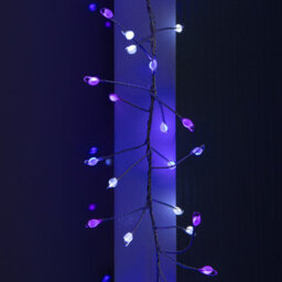 Samuel Alexander 5.5M 800 Led Ultrabrights Christmas Door Cluster Lights With Timer In Blue, Purple & White On Silver Wire - thumbnail 4