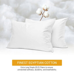 Pamposh 400 Thread Count Egyptian Cotton Pillow Cases 2 Pack Breathable Ultrasoft Pillow Covers - thumbnail 1