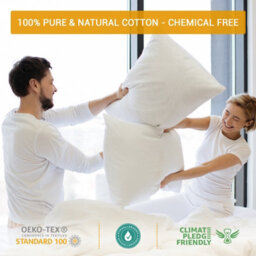 Pamposh 400 Thread Count Egyptian Cotton Pillow Cases 2 Pack Breathable Ultrasoft Pillow Covers - thumbnail 6