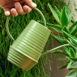 Ckb Ltd Decorative Green Galvanized Ribbed Farmhouse Style Indoor Watering Can With Narrow Spout Small 1.1L (Apple Green) - thumbnail 2