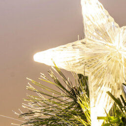 Christmas Tree World The 4Ft/120Cm Frosted Led Pine Fibre Optic Tree - thumbnail 3