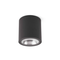 Luminosa Lighting Luminosa Goz Led Outdoor Surface Mounted Ceiling Light Dark Grey Ip54