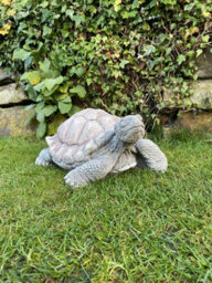 Medium Stone Cast Tortoise Garden Ornament - thumbnail 5