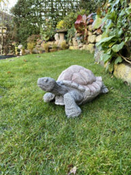 Medium Stone Cast Tortoise Garden Ornament - thumbnail 6