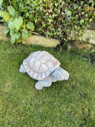 Medium Stone Cast Tortoise Garden Ornament - thumbnail 4