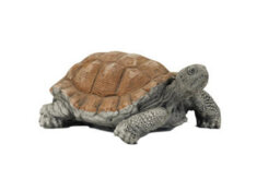 Medium Stone Cast Tortoise Garden Ornament - thumbnail 7