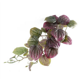 Leaf Artificial 35Cm Trailing Purple Potted Pothos Plant Realistic - thumbnail 4