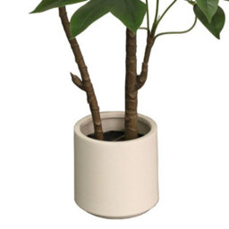 True Products Artificial Umbrella Tree In Off White Pot 150Cm - thumbnail 3