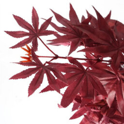 Leaf Artificial Red Maple Tree 120Cm  - Realistic Plant By Botanik - thumbnail 3