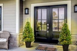 Christmas Tree World The 4Ft/120Cm Pre-Lit Majestic Dew Pine Potted Tree (Outdoor) - thumbnail 8