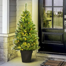 Christmas Tree World The 4Ft/120Cm Pre-Lit Majestic Dew Pine Potted Tree (Outdoor) - thumbnail 2