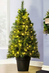 Christmas Tree World The 4Ft/120Cm Pre-Lit Majestic Dew Pine Potted Tree (Outdoor) - thumbnail 1