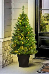 Christmas Tree World The 4Ft/120Cm Pre-Lit Majestic Dew Pine Potted Tree (Outdoor) - thumbnail 7