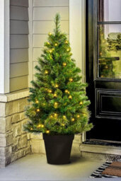 Christmas Tree World The 4Ft/120Cm Pre-Lit Majestic Dew Pine Potted Tree (Outdoor) - thumbnail 6