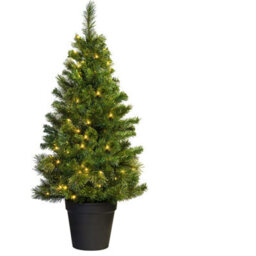 Christmas Tree World The 4Ft/120Cm Pre-Lit Majestic Dew Pine Potted Tree (Outdoor) - thumbnail 5