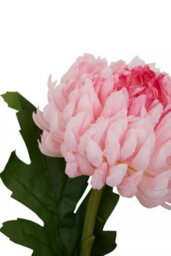 Orsina Chrysanthemum Stem - 84Cm Pink, Lifelike Artificial Flower With Soft Pink Petals And Green Stem, Adds A - thumbnail 7