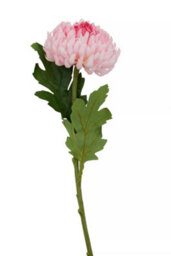 Orsina Chrysanthemum Stem - 84Cm Pink, Lifelike Artificial Flower With Soft Pink Petals And Green Stem, Adds A - thumbnail 6