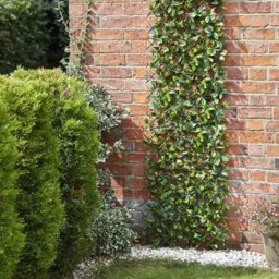 Marco Paul Artificial Garden Lemon Leaf Trellis 1.8M